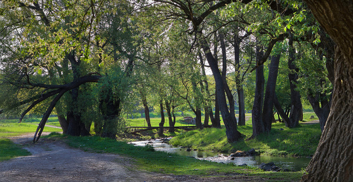 Зелный Апрель.