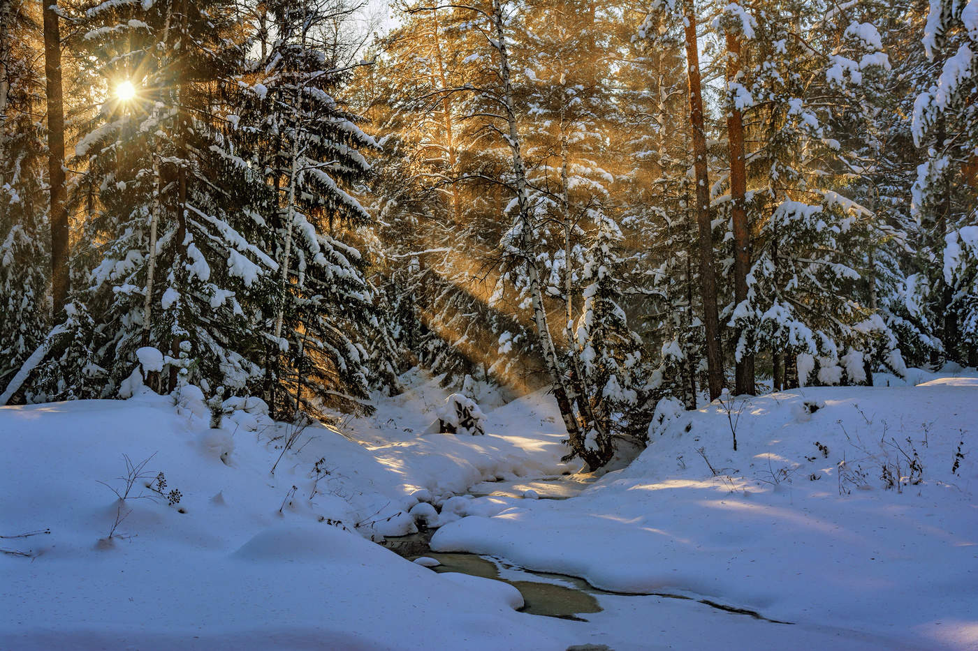 Весеннее солнышко