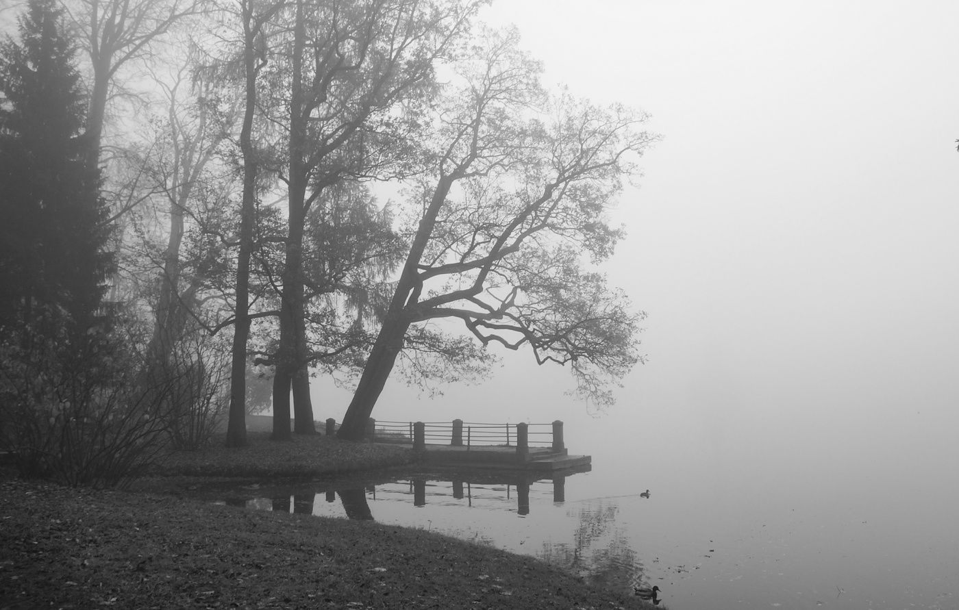 Осеннее утро...