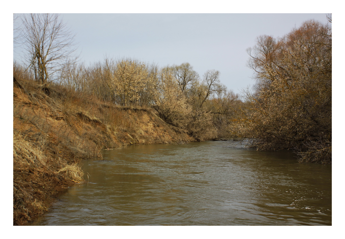 Обнаженная весна