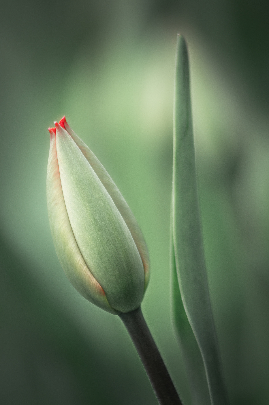 Элегантность!