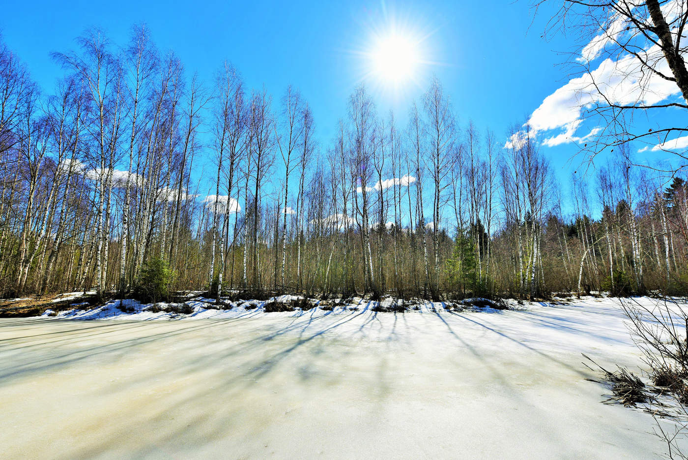 Чудесный день ...