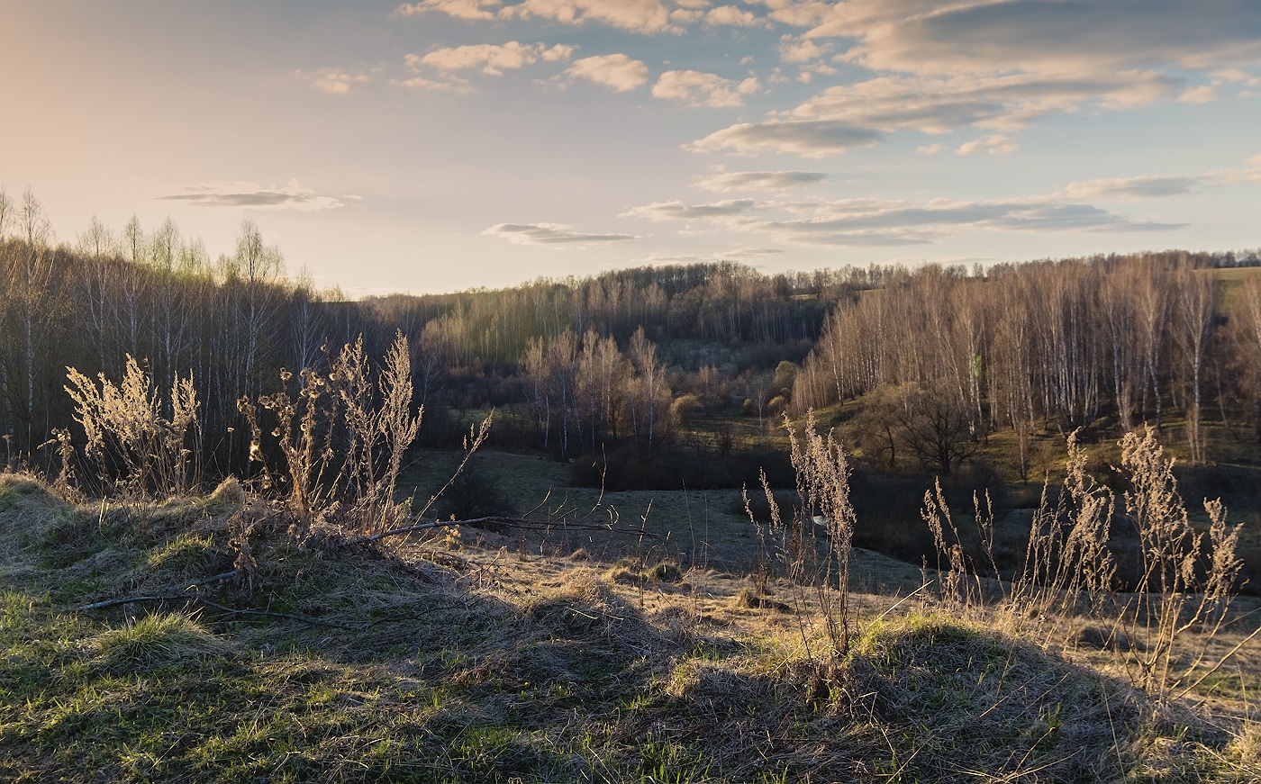 Вечерний свет на прошлогодней траве