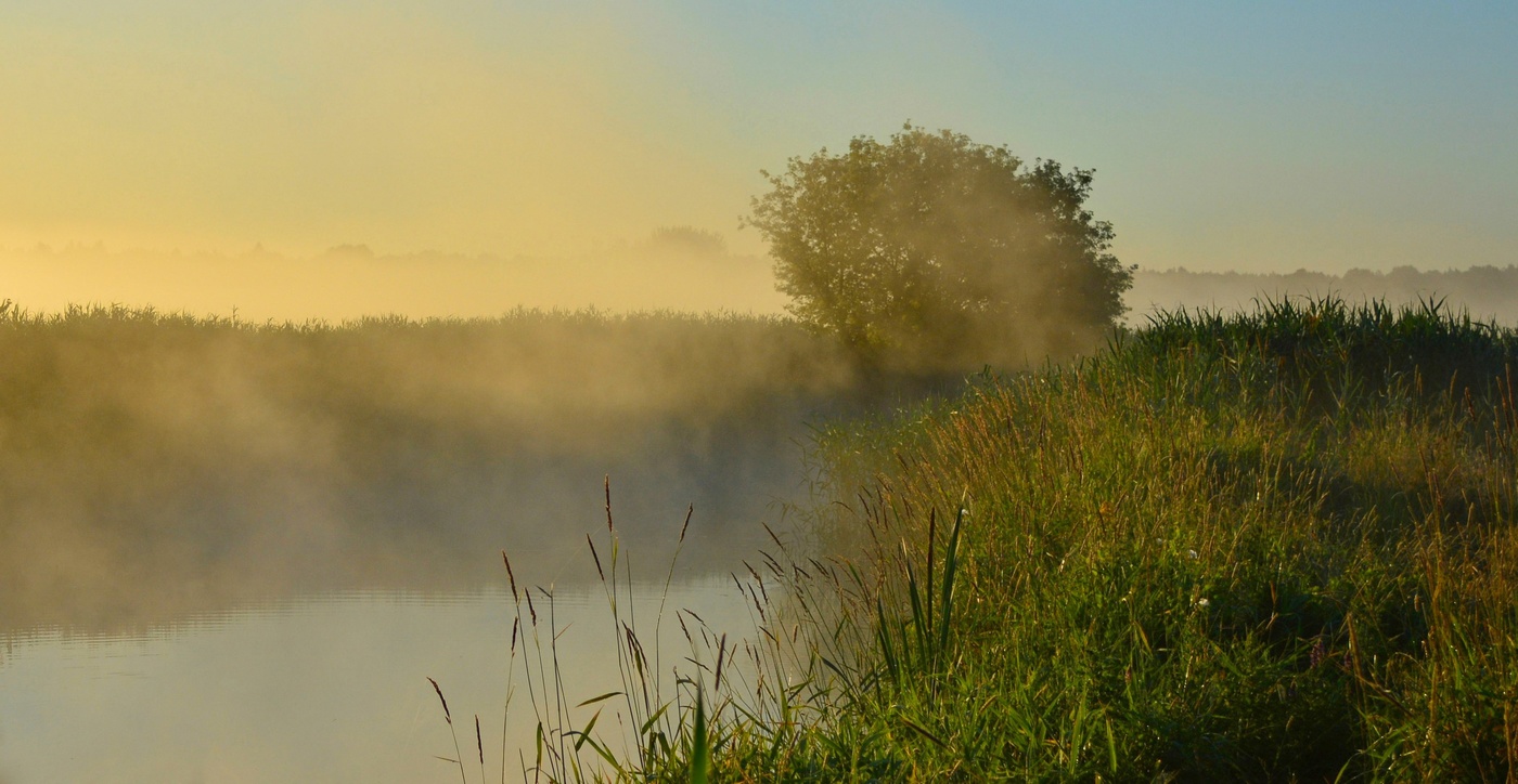 Туманный омут