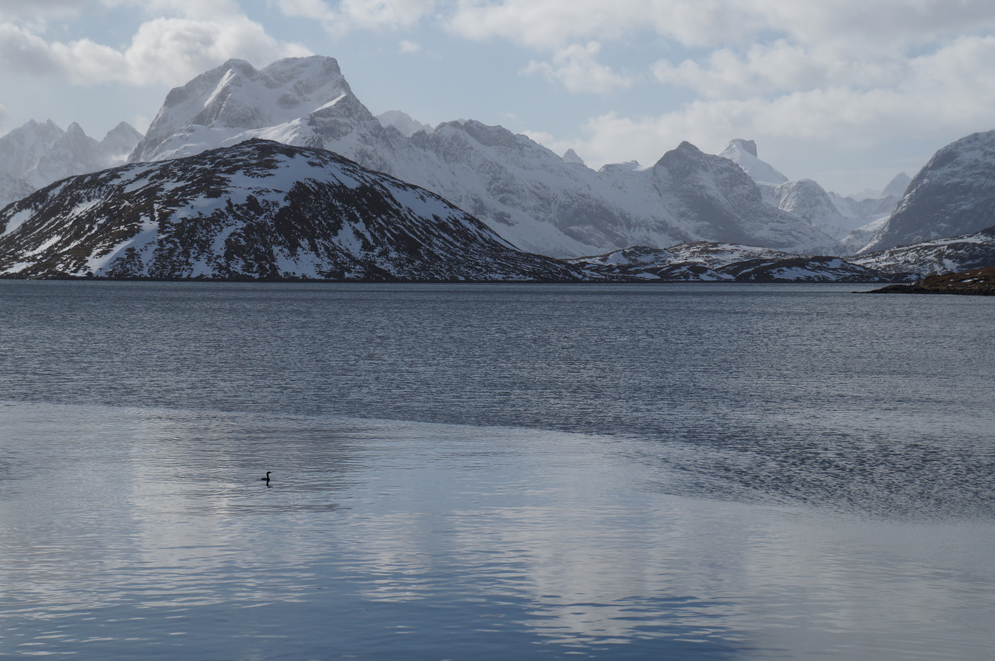Весенние контрасты