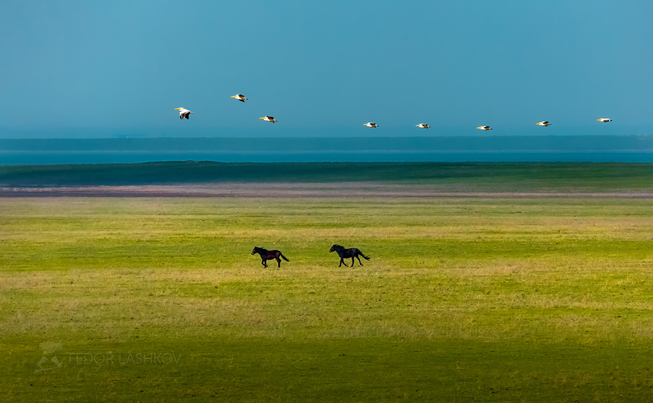 Наперегонки