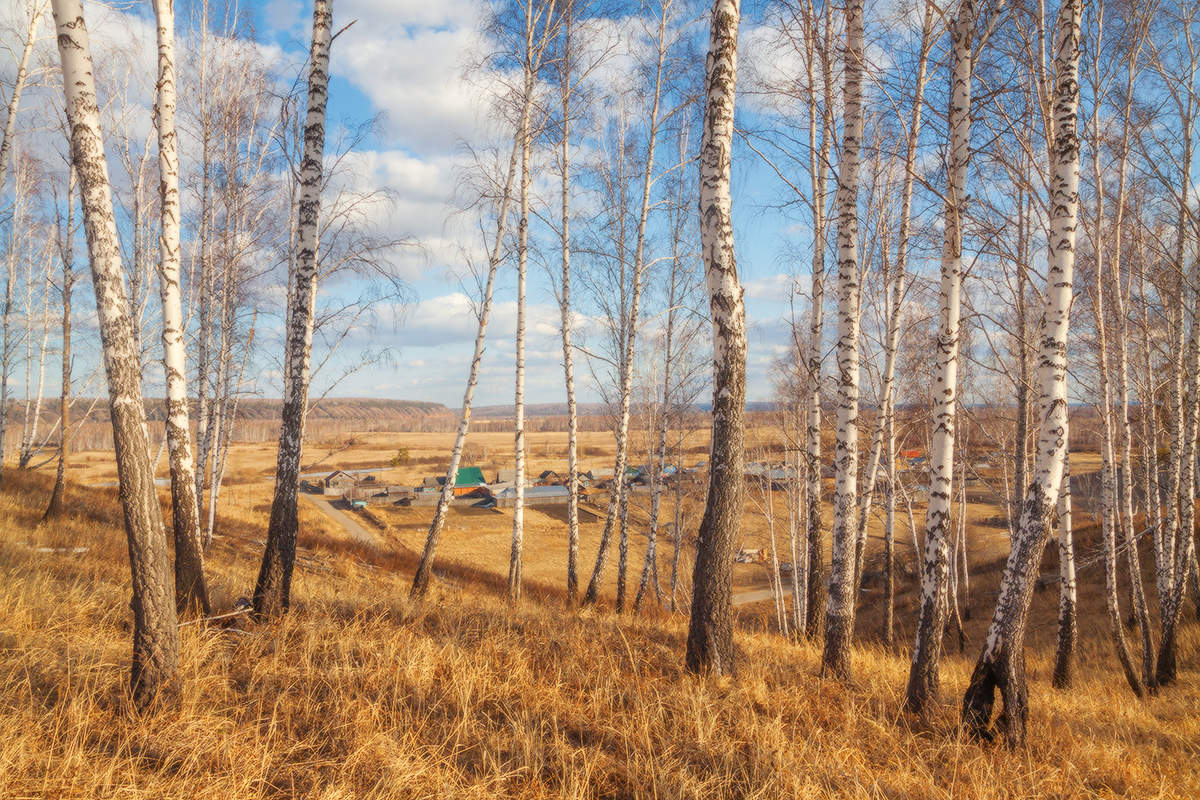 Вот не моя деревня