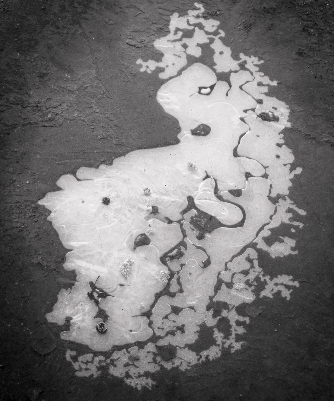 Динозаврик