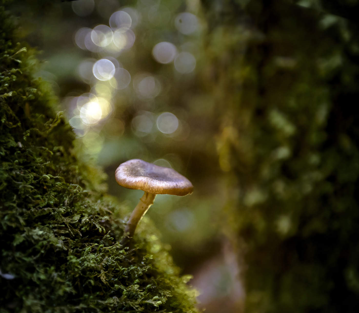 На пригреве