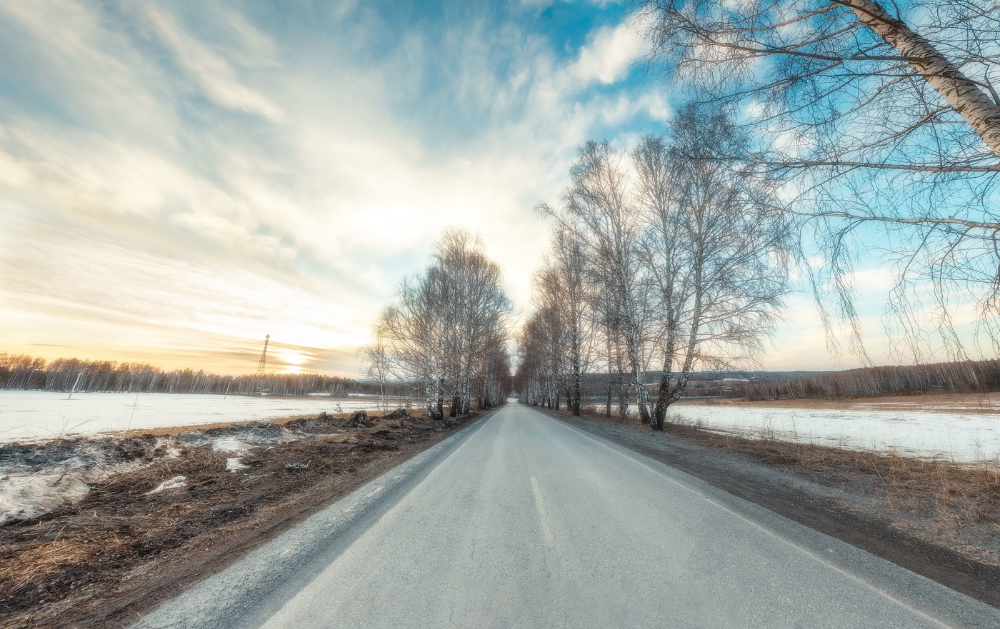 Берёзовая аллея