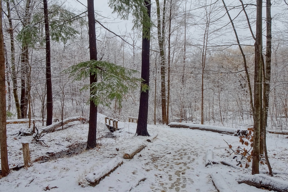 апрель. последний снег