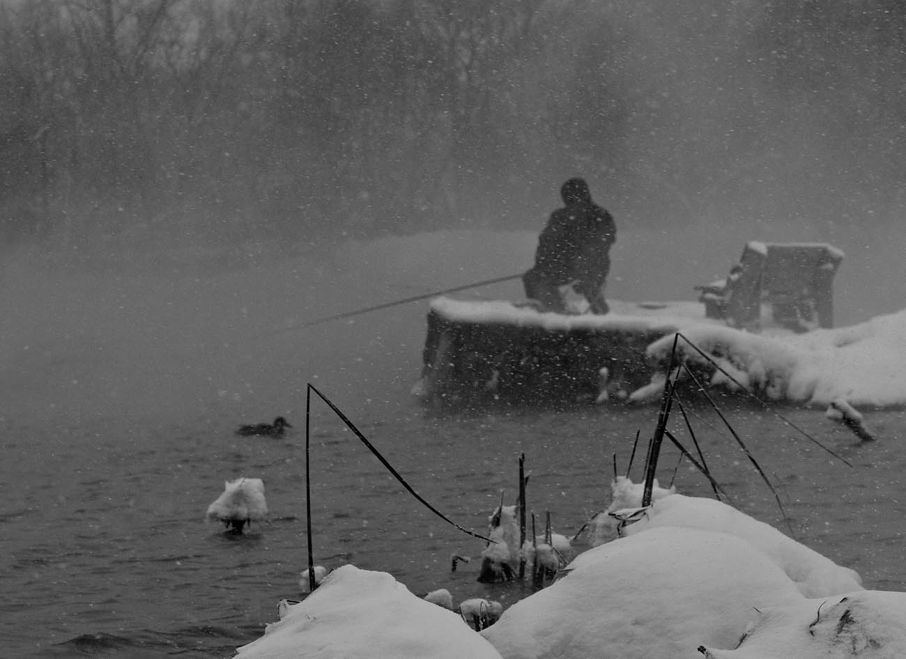 Зимнее ненастье