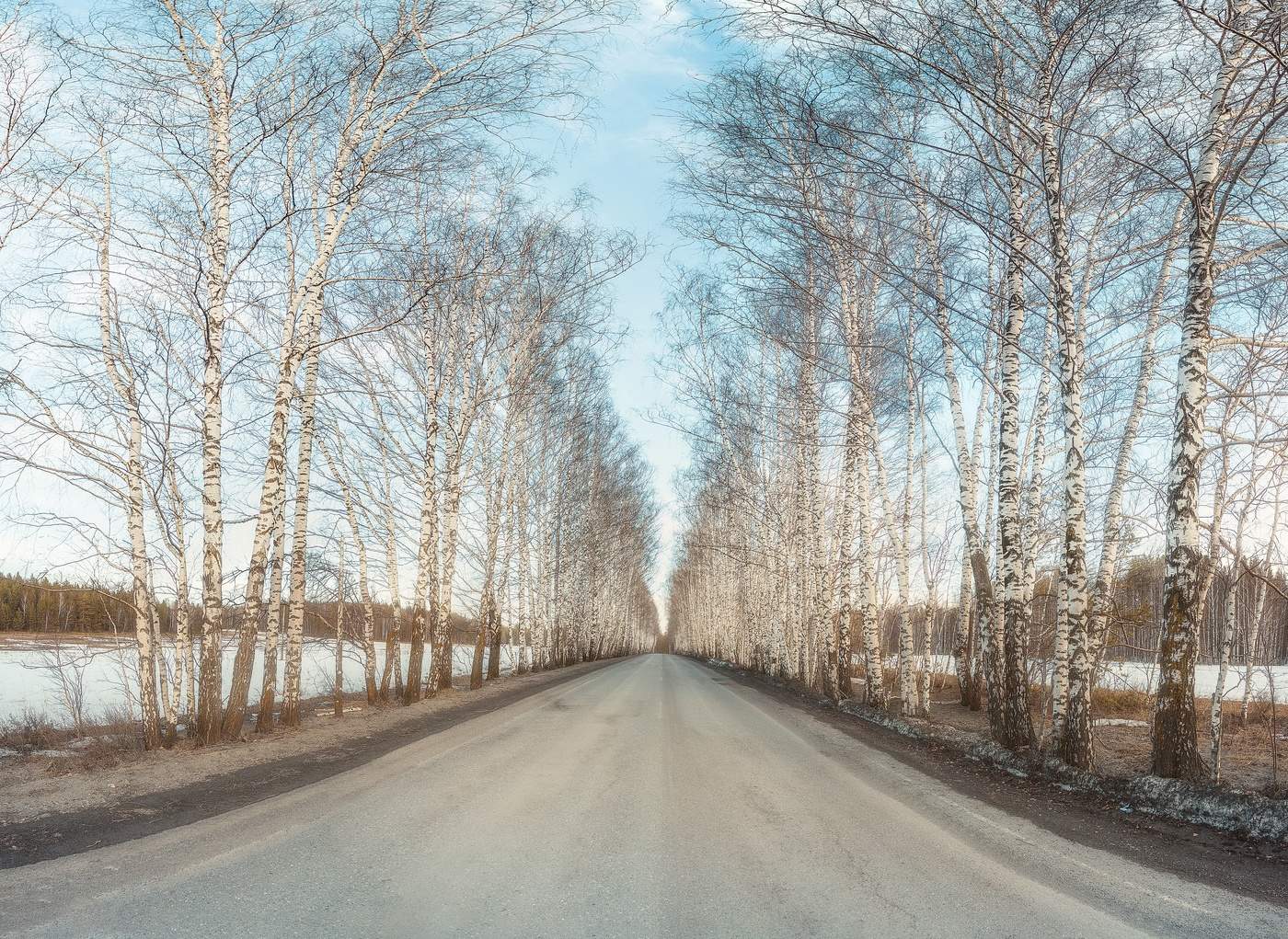 Берёзовая аллея