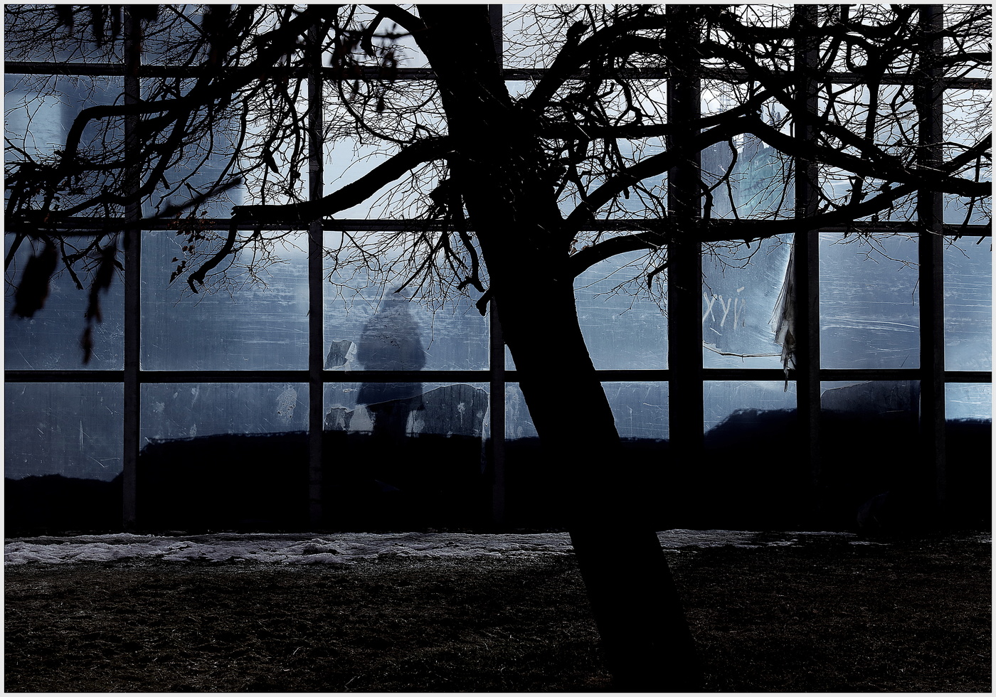 Городская жизнь