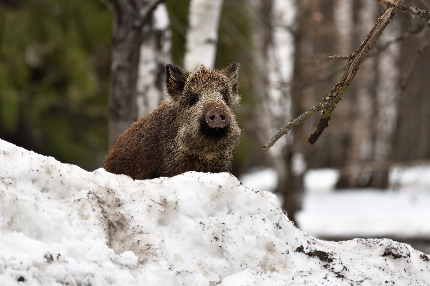 что то всусненьким запахло