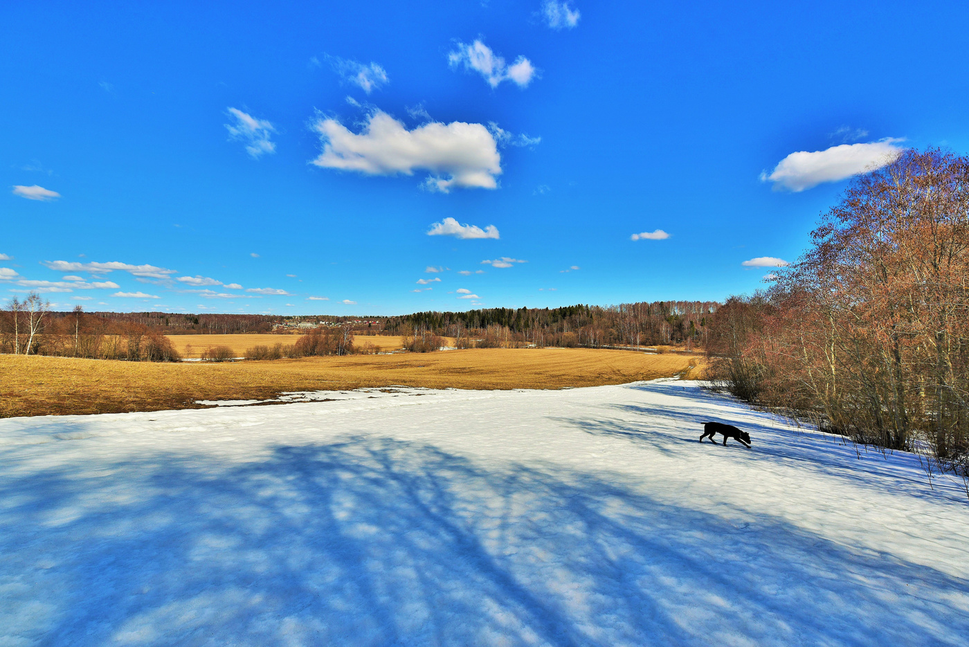"Что несешь с собой, Апрель?"