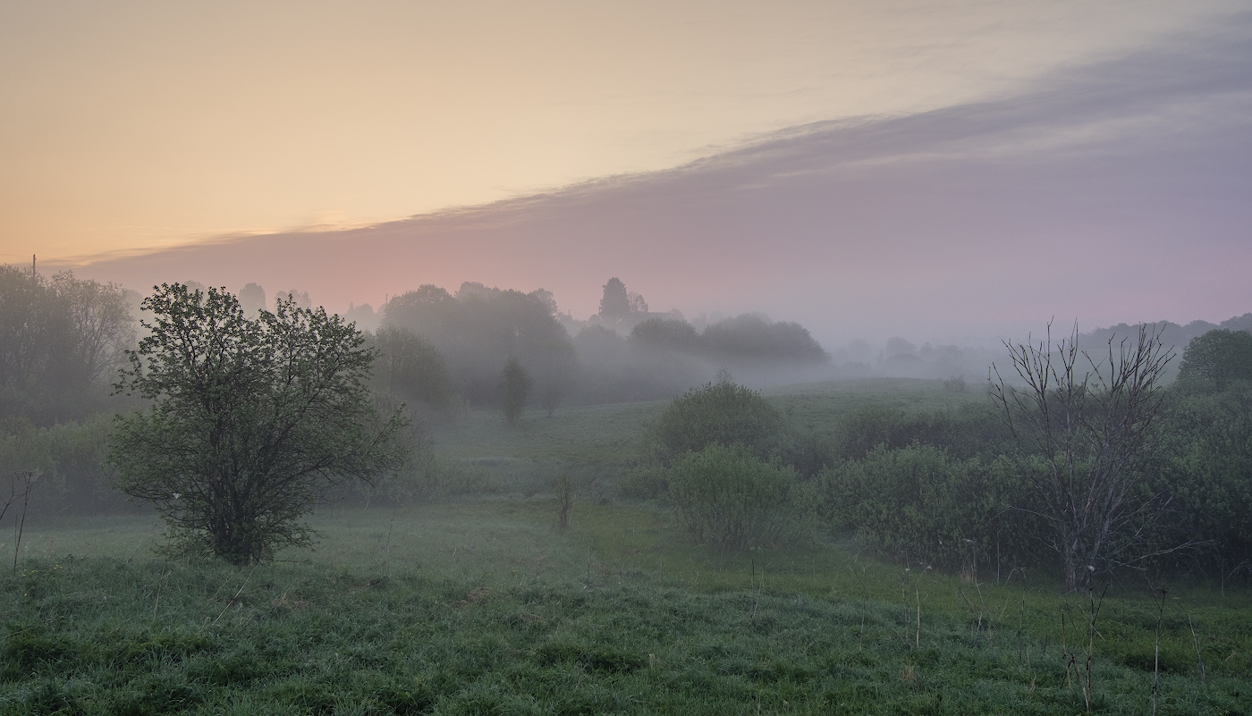 Майская туманная прохлада