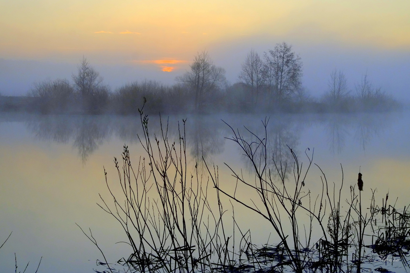 Туманное утро.