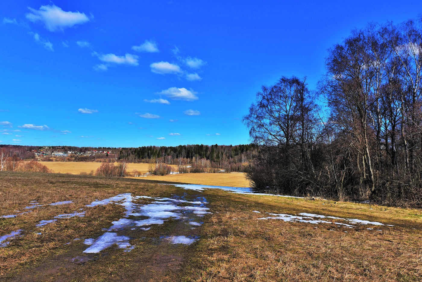 "Все дышит радостным апрелем ..."