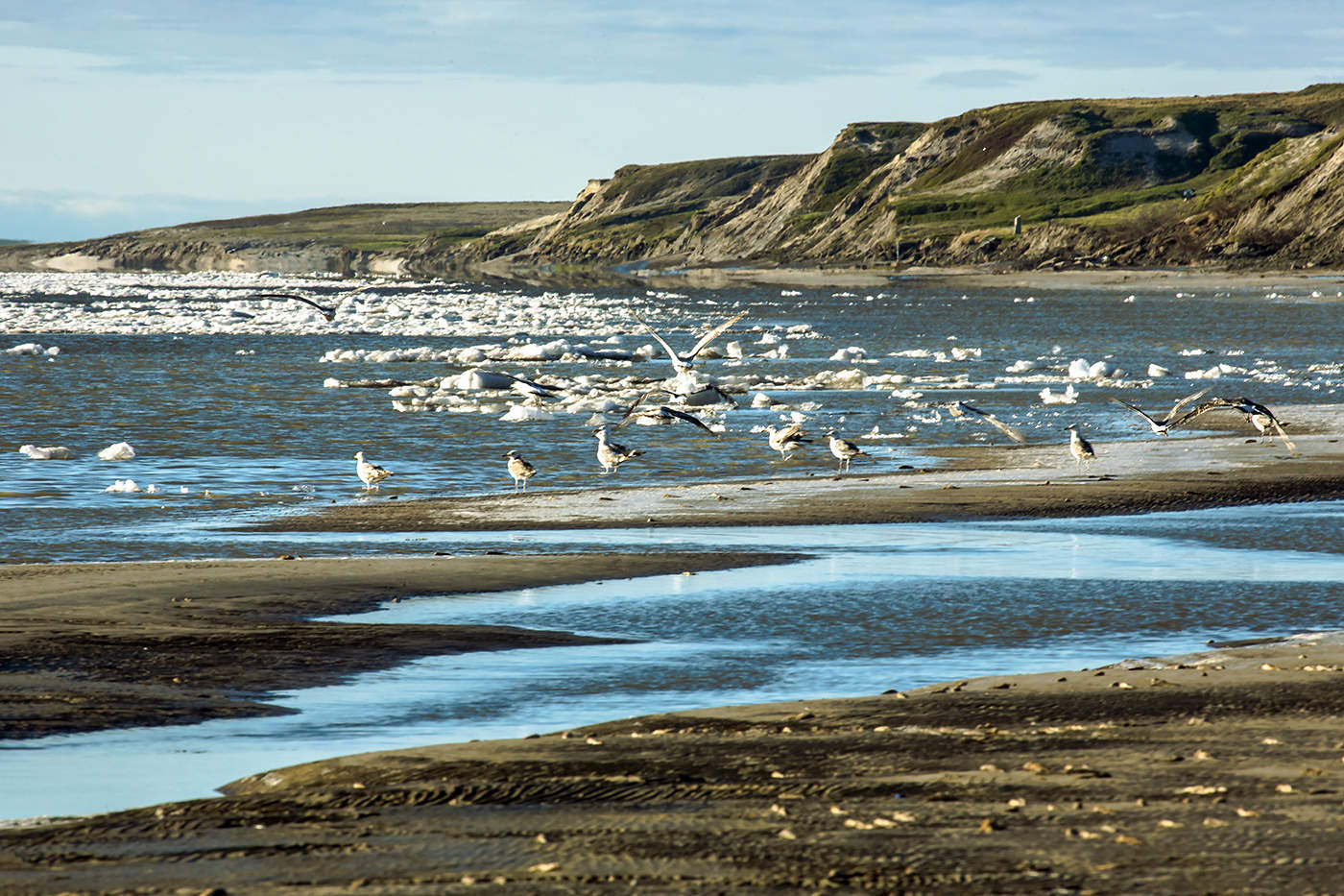 Северное лето