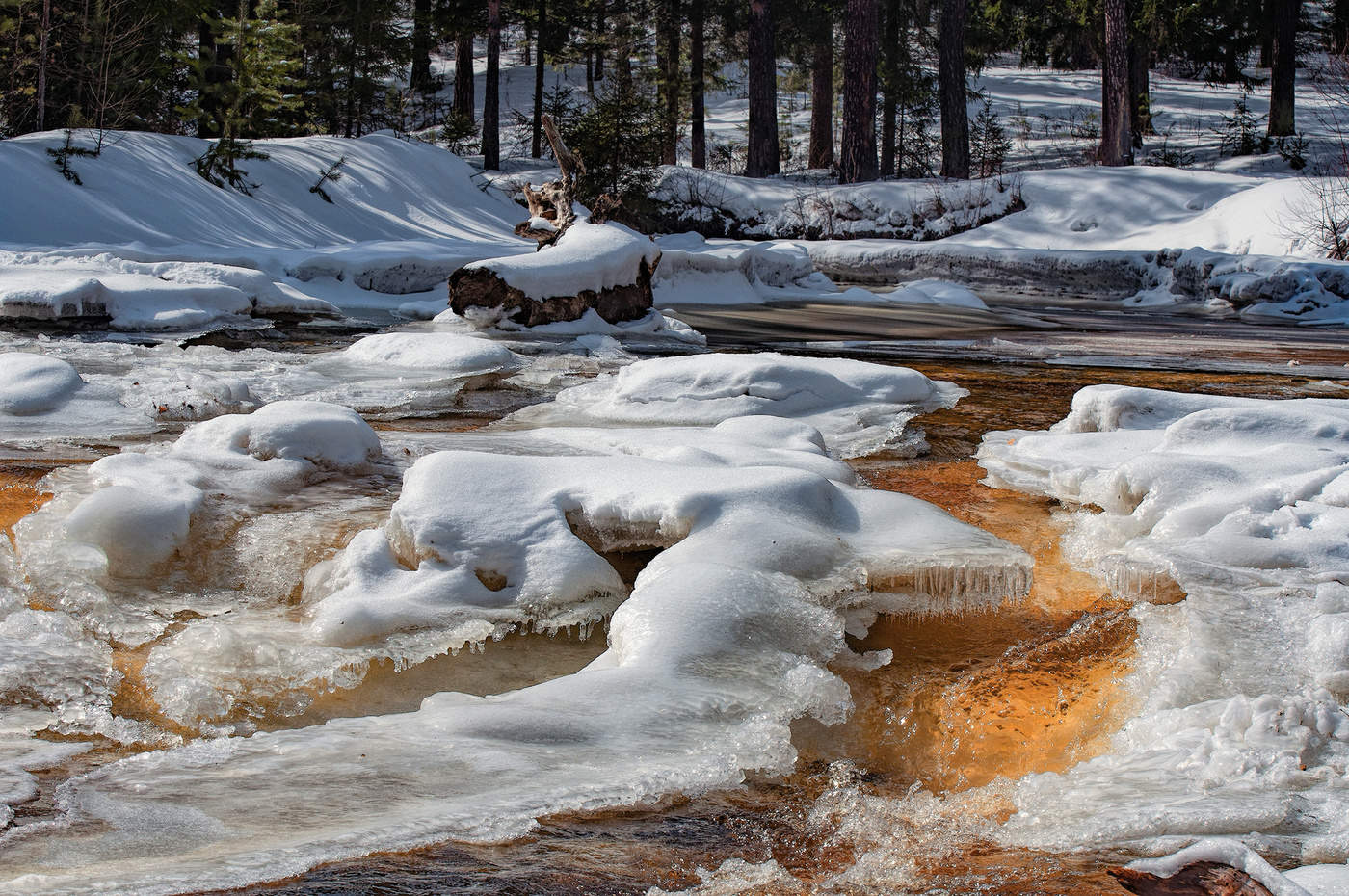Весенние кружева