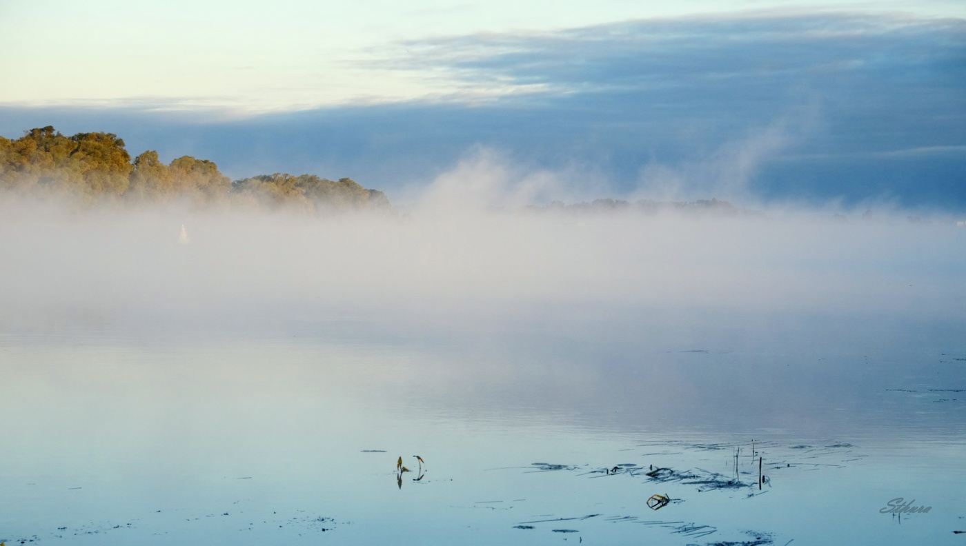 Утро на Оке.