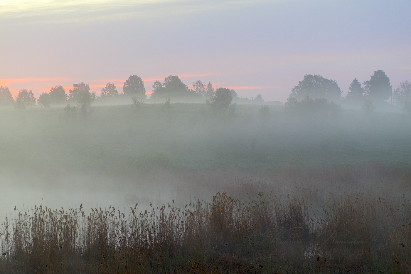 К рассвету через туман