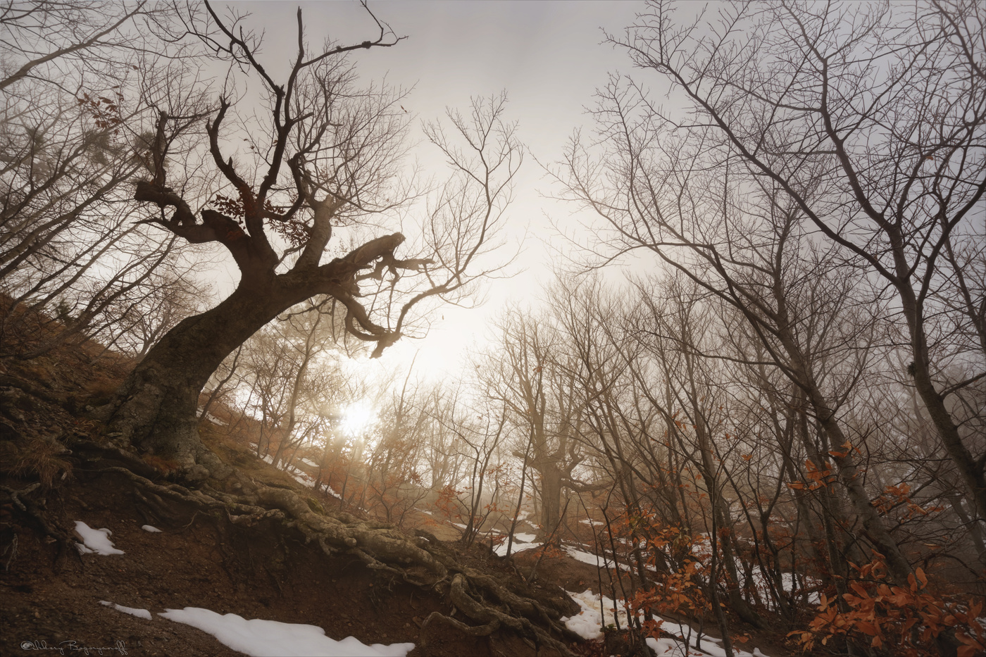 Слушая туманы.