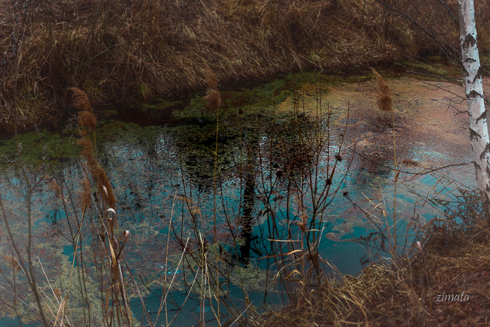весенний пейзаж