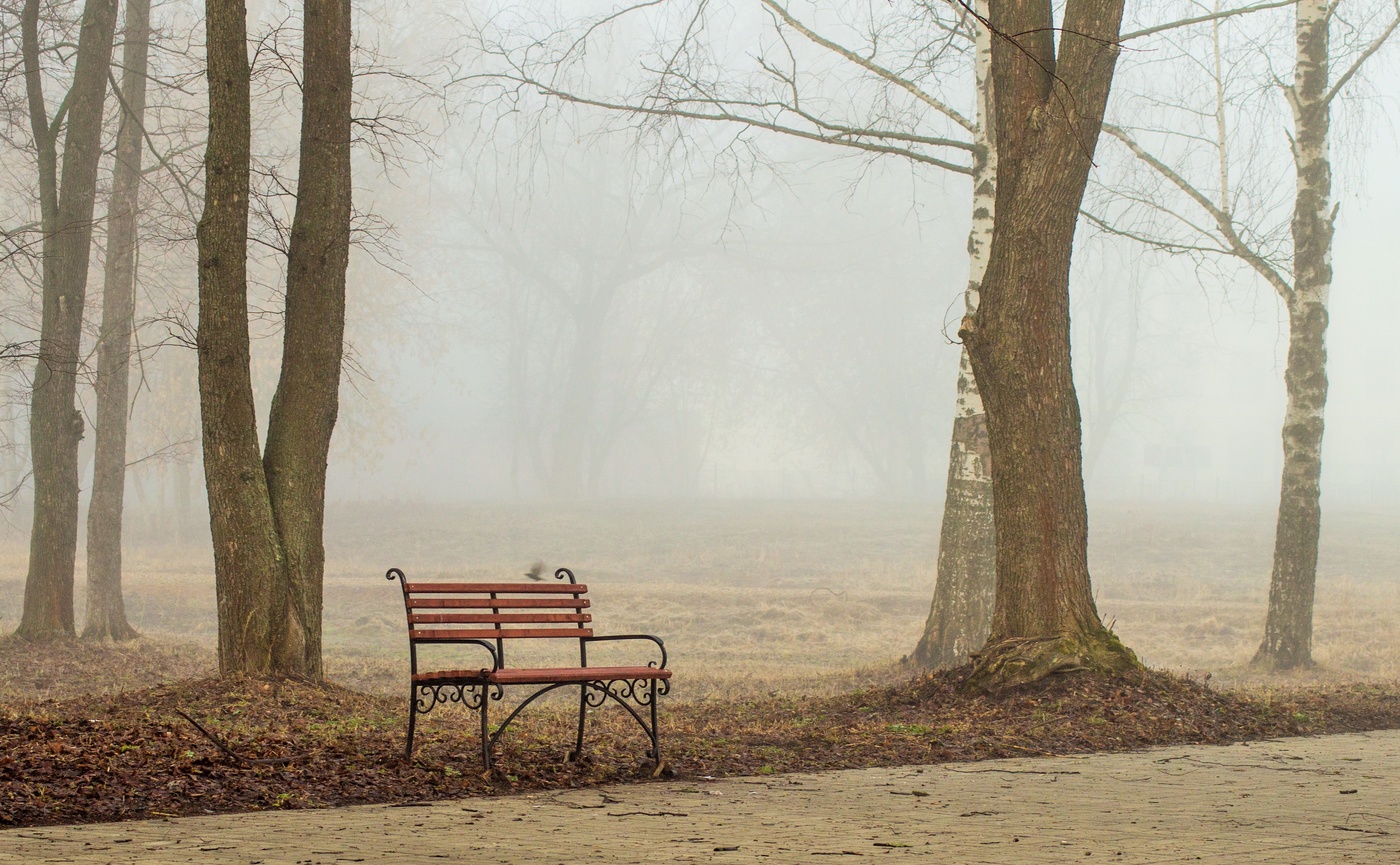 Туманное утро