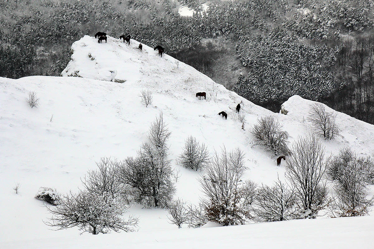 На Северном Демерджи