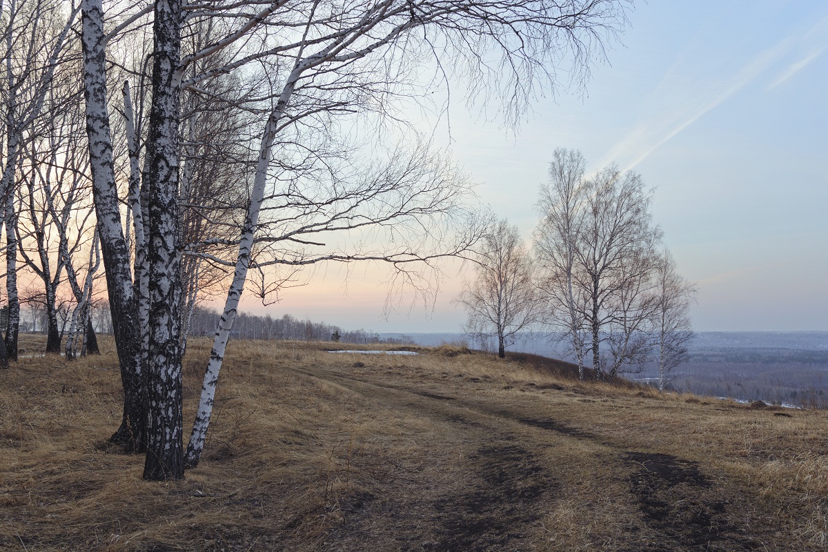 Апрельским утром.