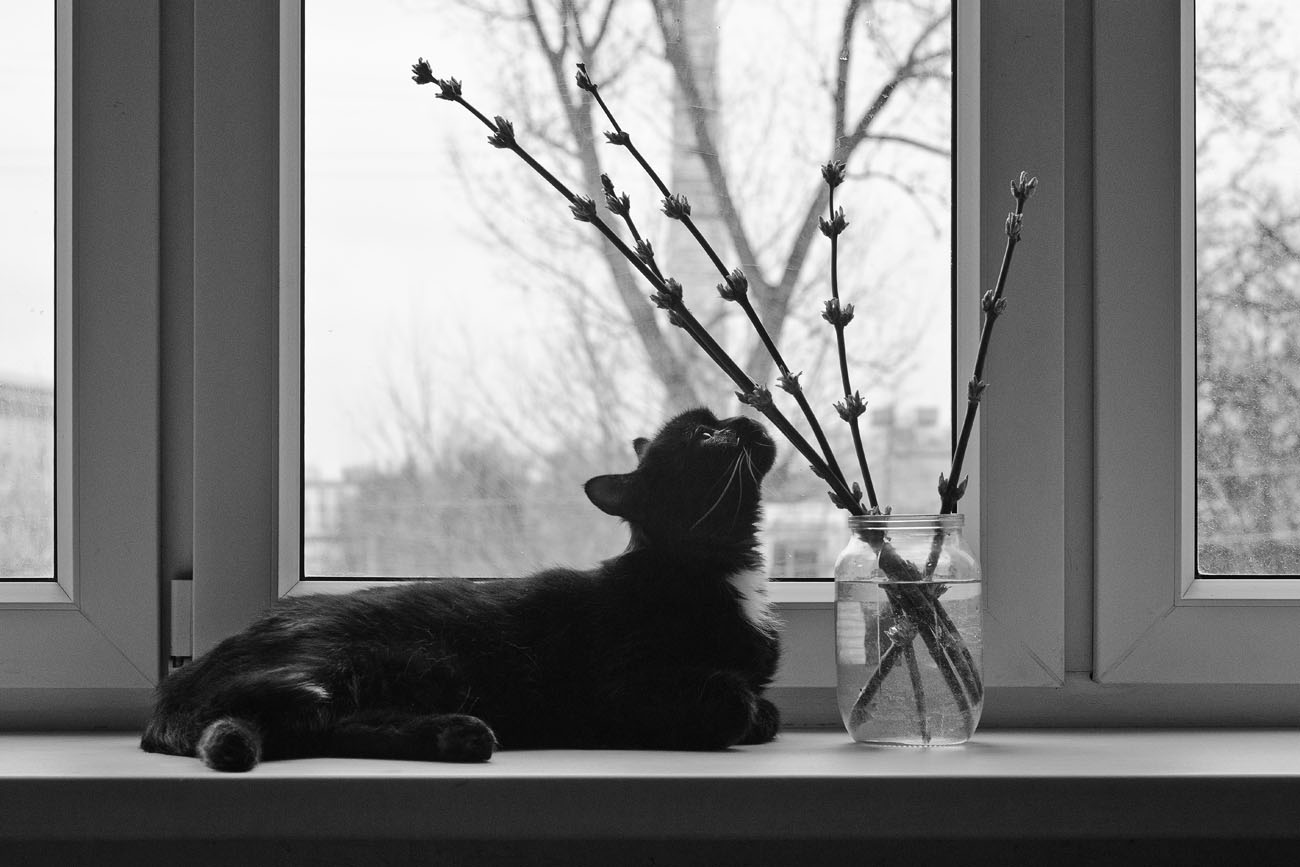 Весенние запахи