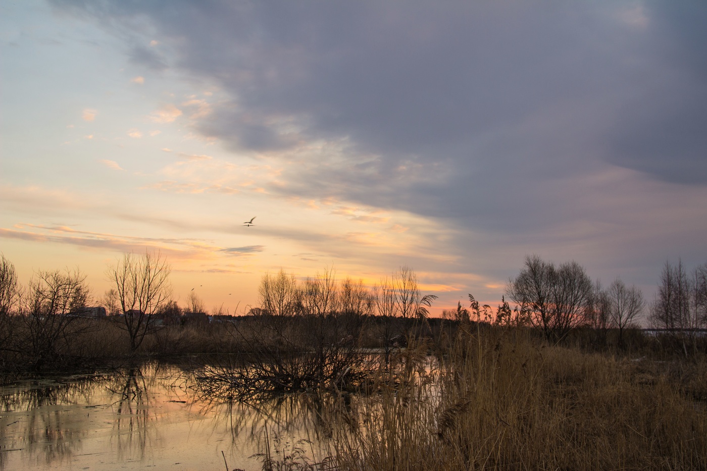 апрельский рассвет