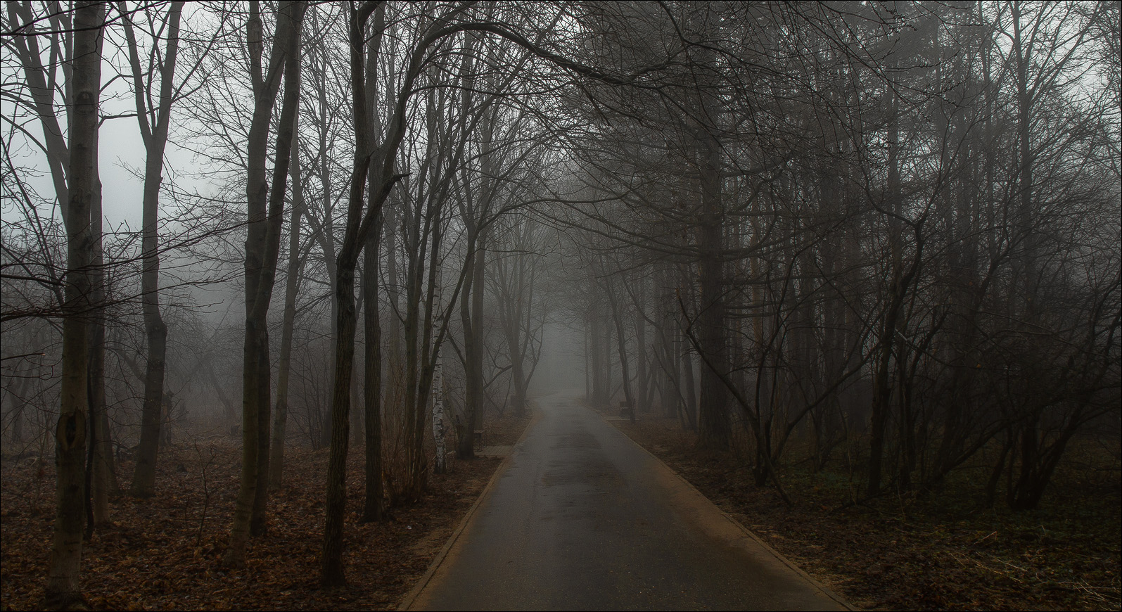 мимо проходил