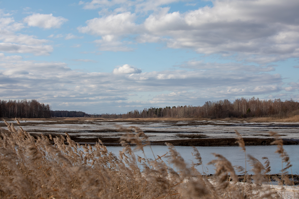 Малая Пудица