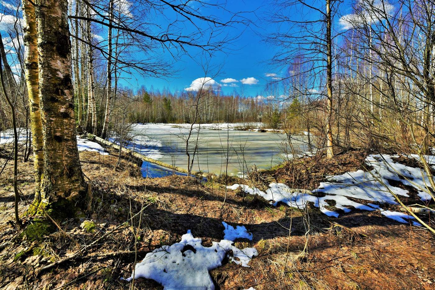 Весенний этюд ...