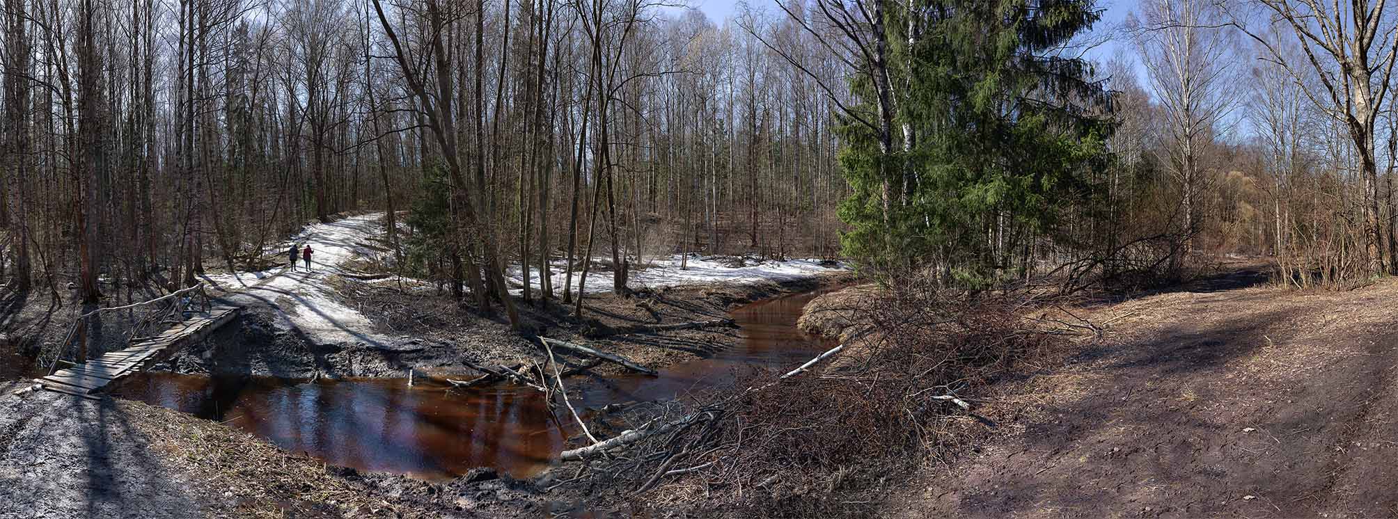 Ранняя весна...