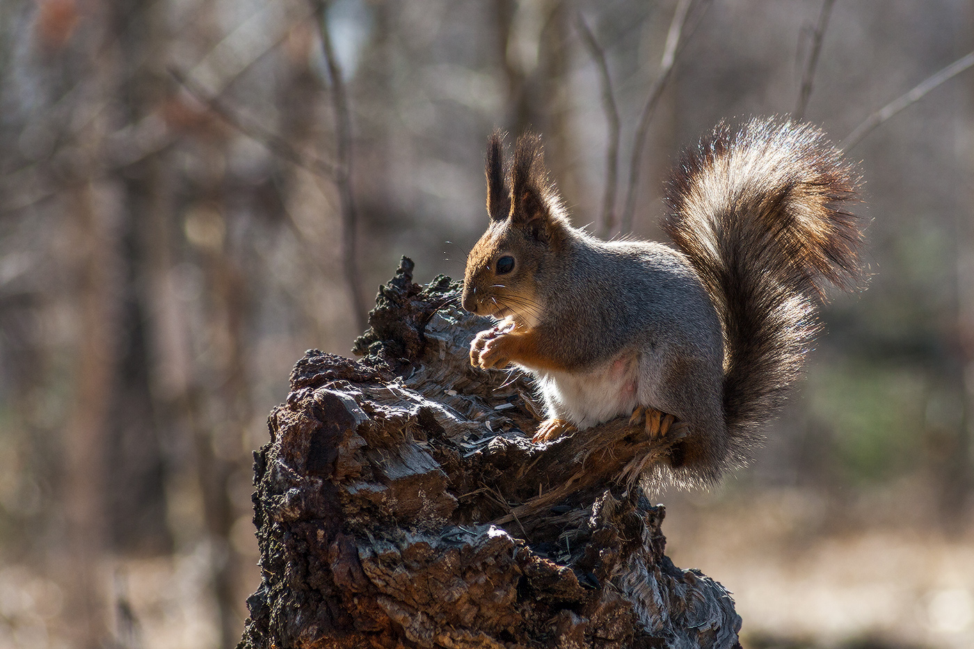 На солнышке