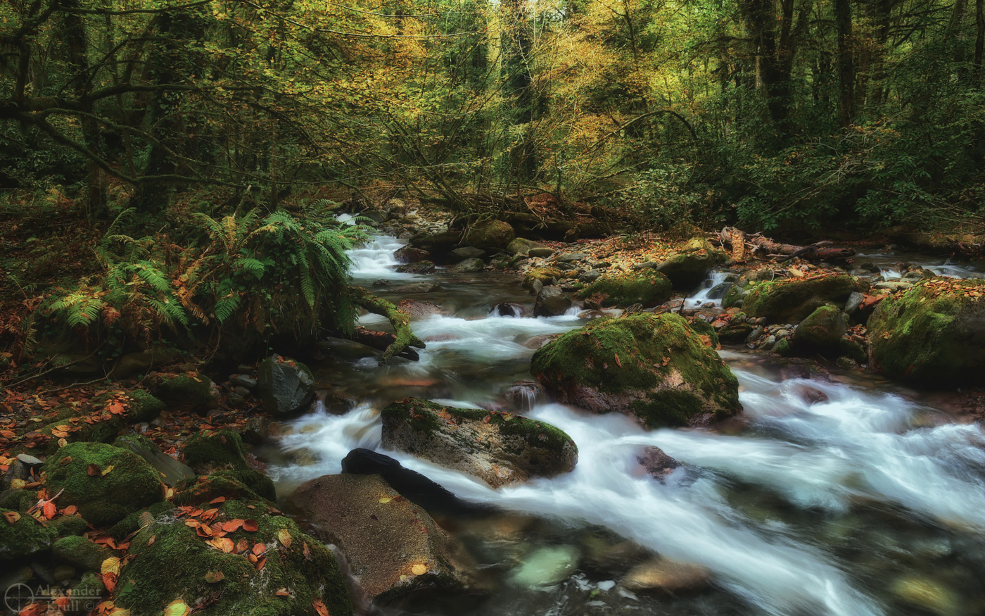 В ноябрьских джунглях Кавказа...