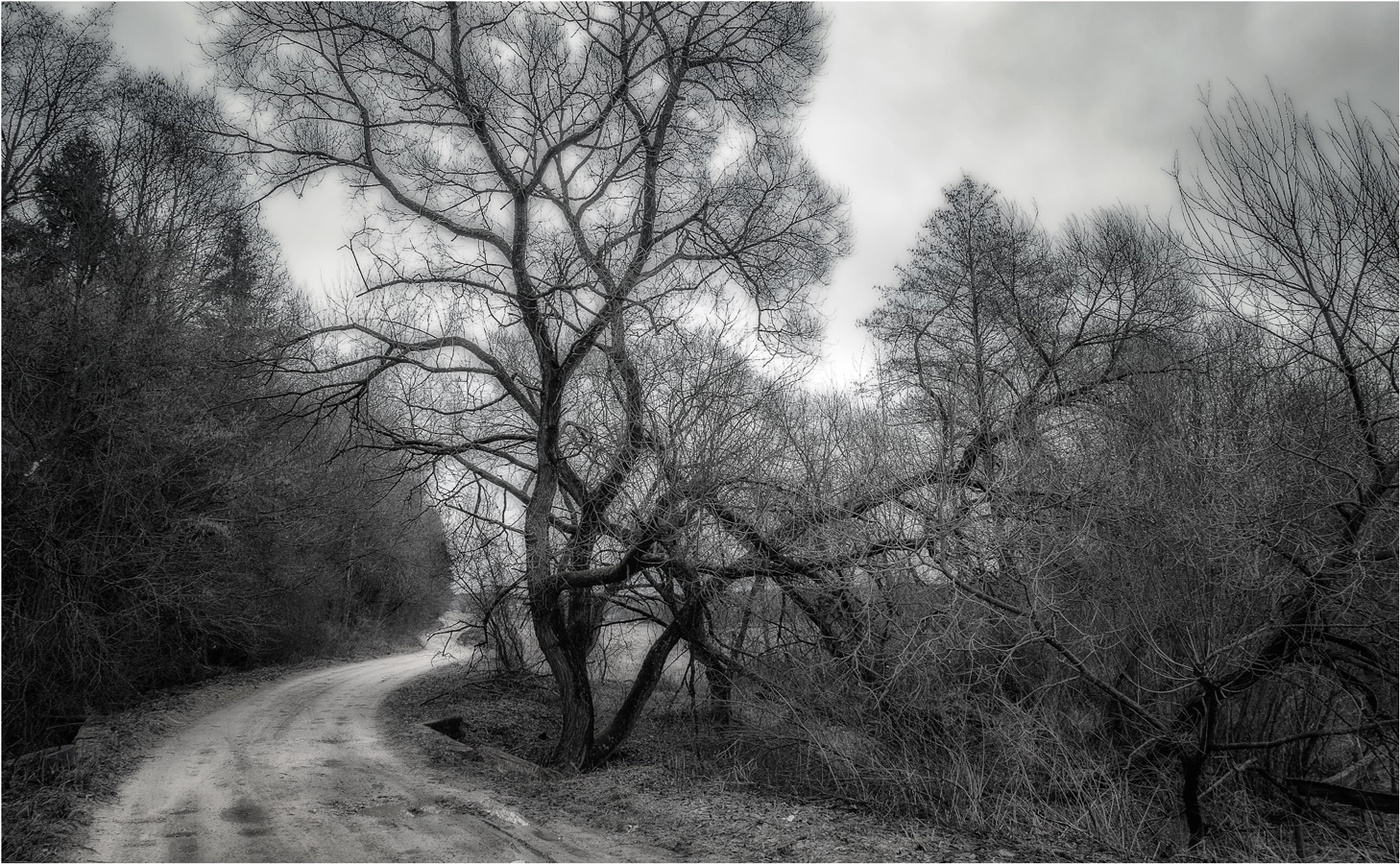 На краю леса