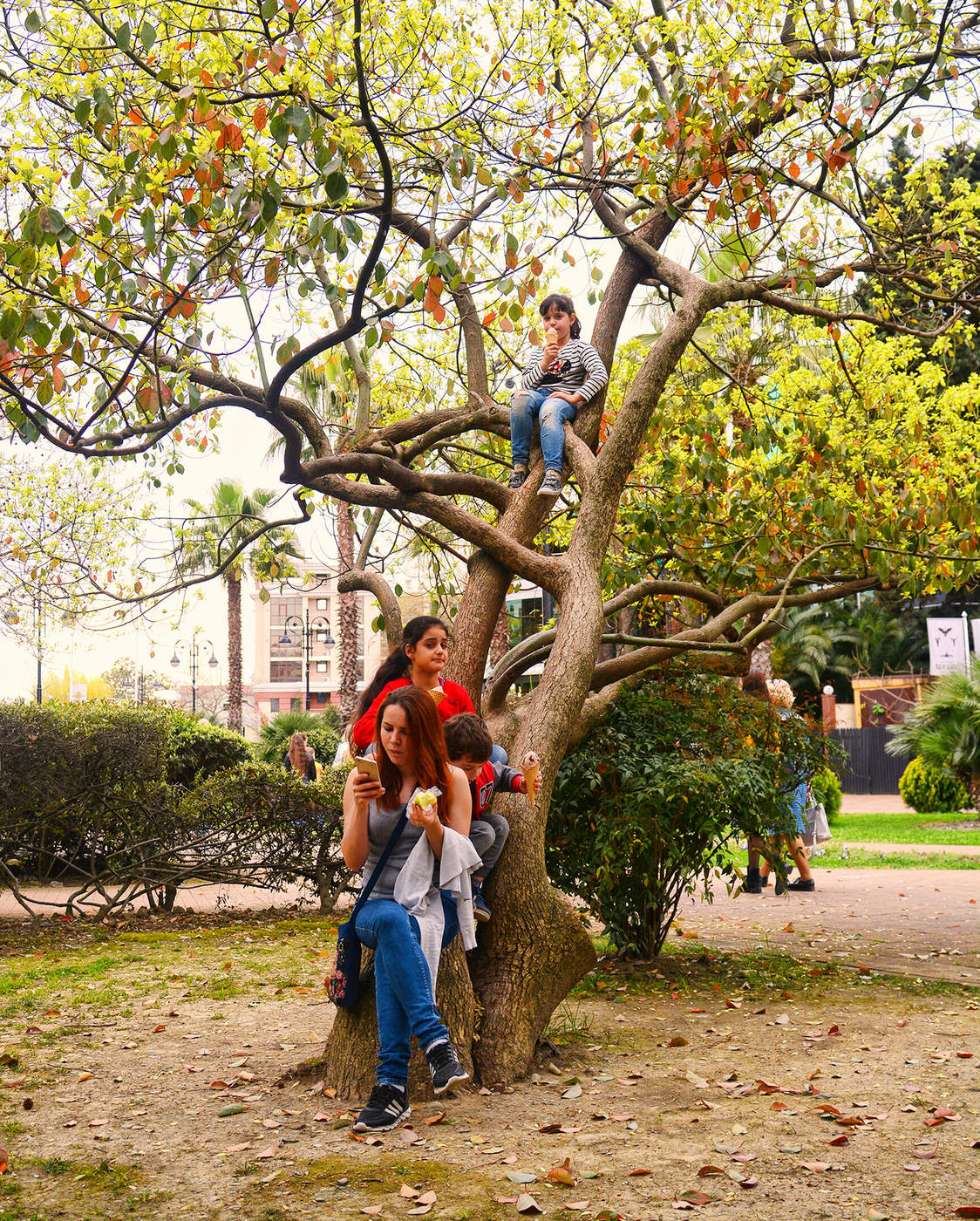 Высоко сижу...