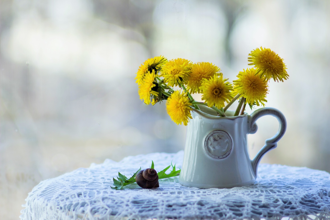 первые одуванчики этой весны