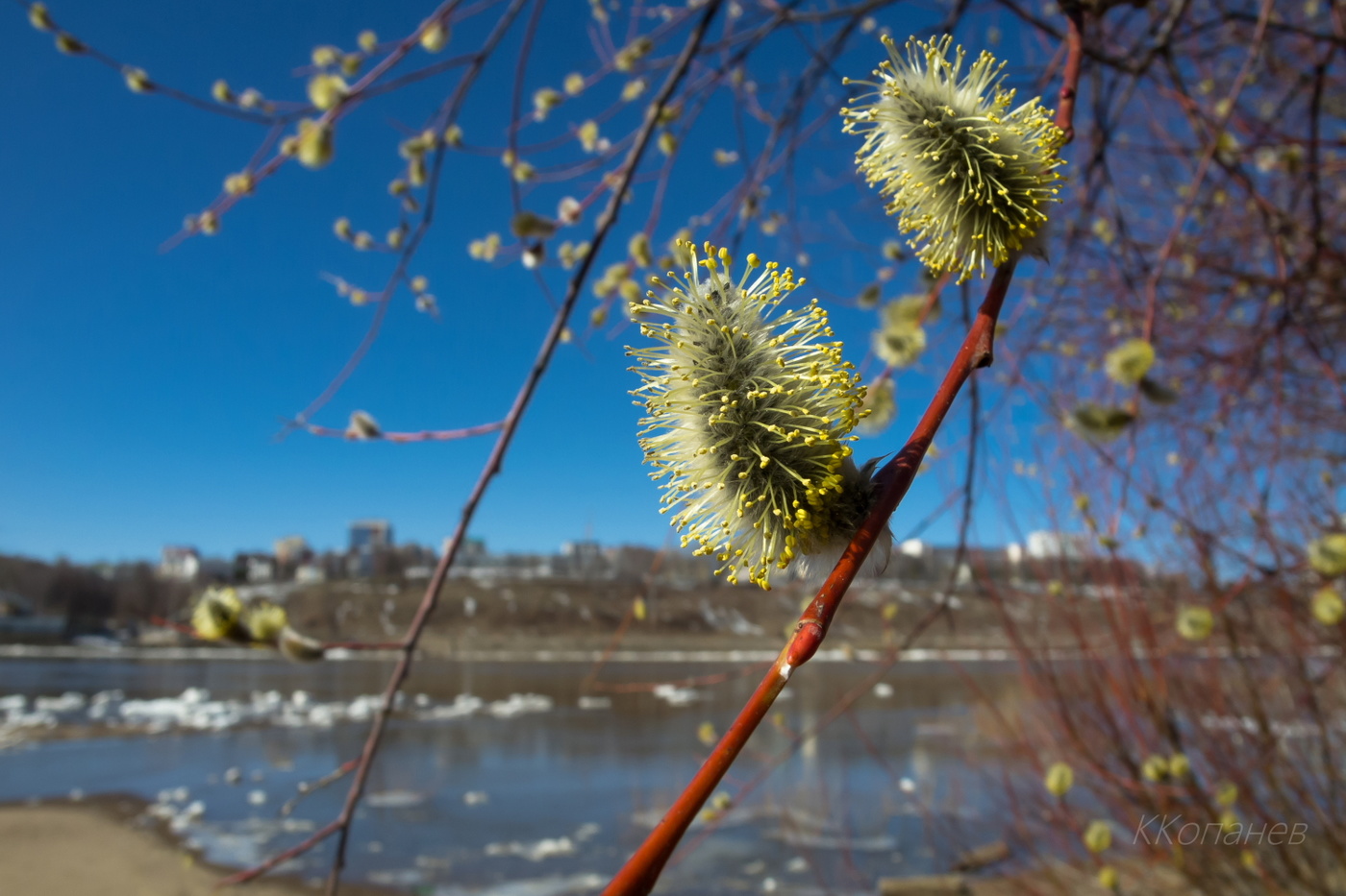 Пробуждение