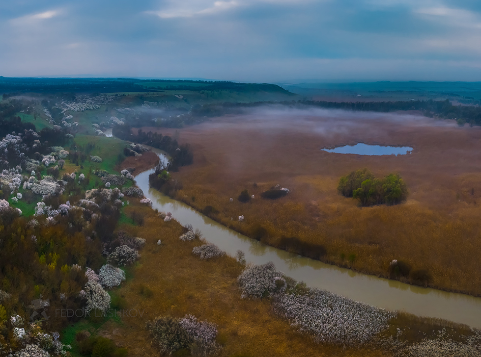 Рассвет над болотистой долиной