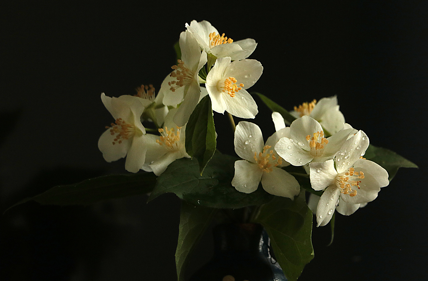 Скромный весенний букетик