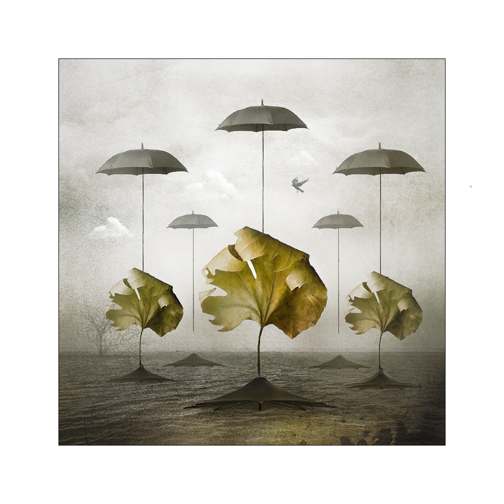 платановые острова