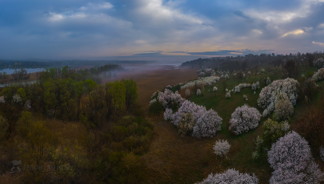 Весенний, туманный рассвет