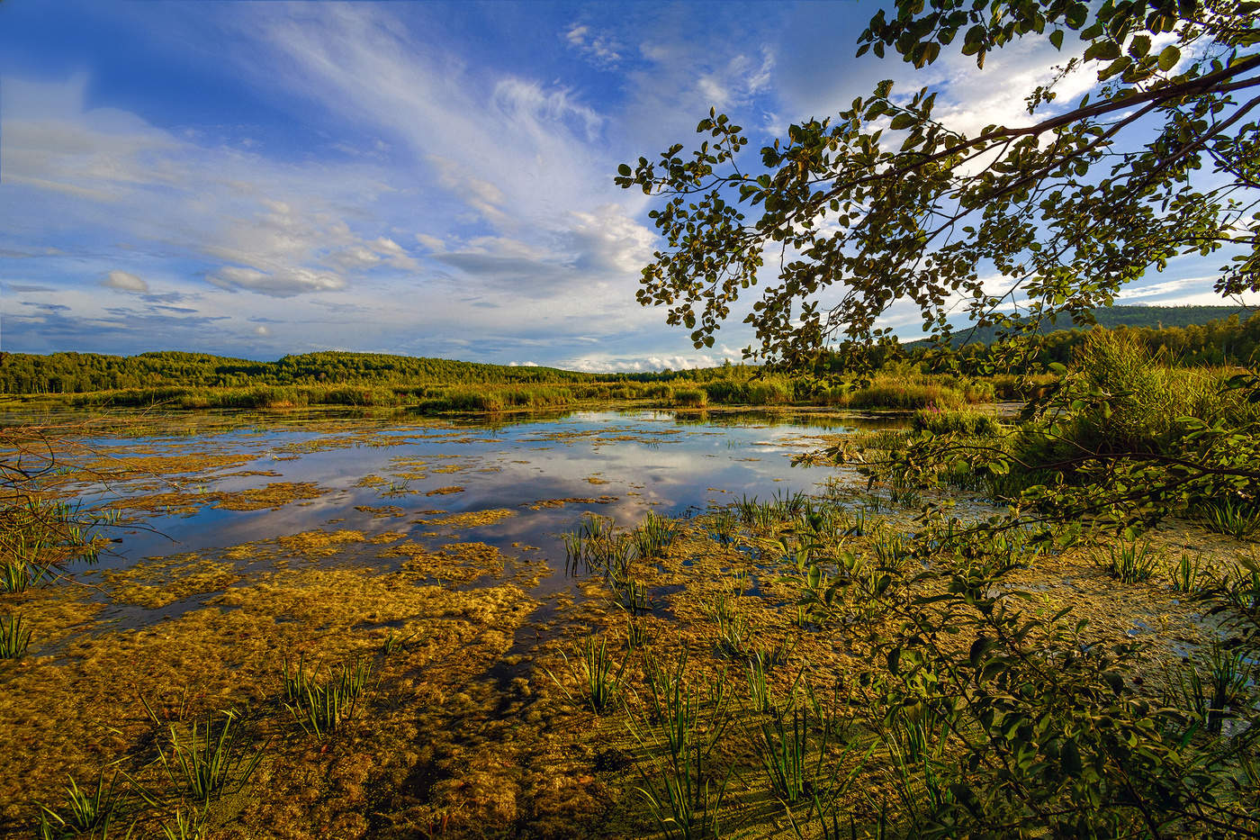 Гибнущее озеро