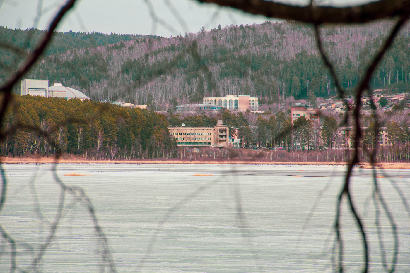 Город в тайге
